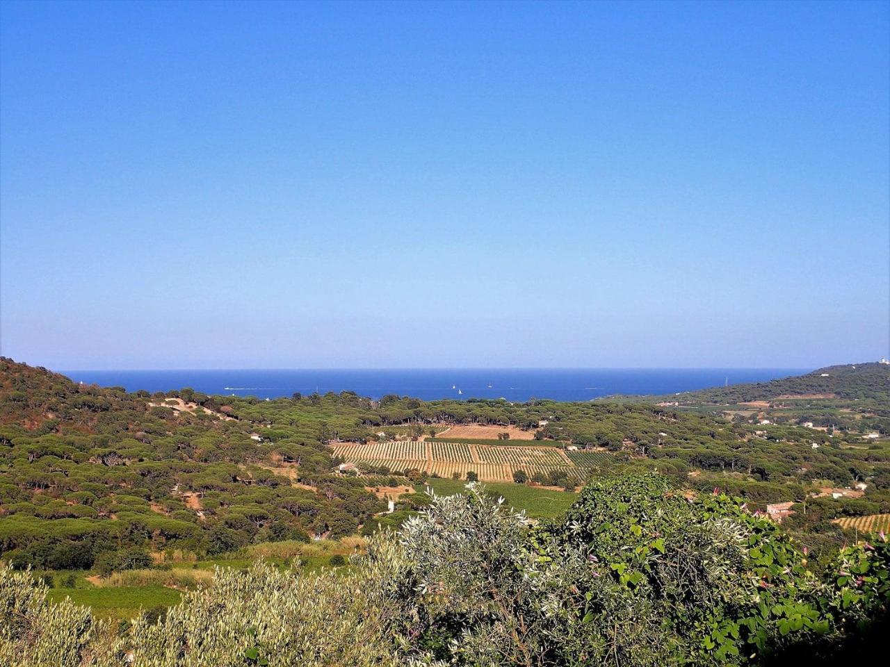 Village Vacances De Ramatuelle - Le Sentier Des Pins Exterior photo